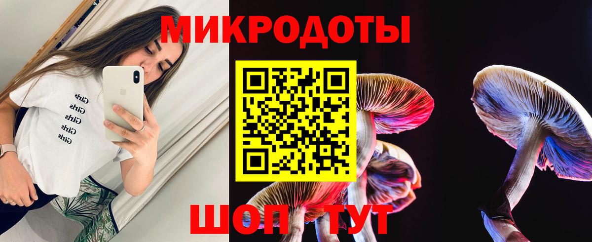Псилоцибиновые грибы Psilocybine cubensis Луга